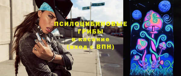 МДПВ Новодвинск