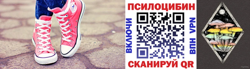 Галлюциногенные грибы мухоморы  где купить наркотик  МЕГА как зайти  Чегем 