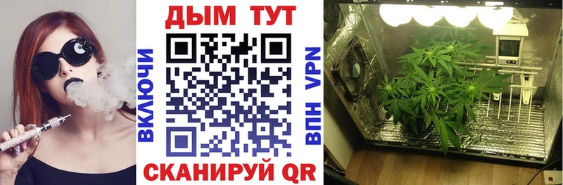 где можно купить наркотик  Чегем  kraken как зайти  МАРИХУАНА гибрид 